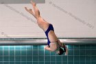 Women's Diving  Wheaton College Women’s Diving vs Mount Holyoke College. - Photo by Keith Nordstrom : Wheaton, Swimming & Diving